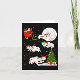 Lar Beer Kerstman Slede Vliegend Grappig Magisch K Kaart