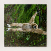 Lar Gibbon die van de boom hangt Legpuzzel (Horizontaal)