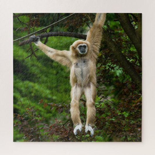 Lar Gibbon die van de boom hangt Legpuzzel (Verticaal)