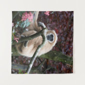Lar Gibbon's Scarlet Retreat Wandkleed (Voorkant (horizontaal))