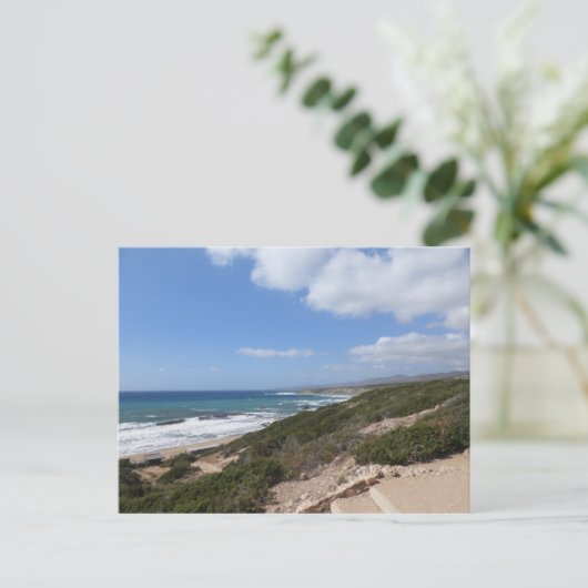 Lara Beach, Paphos, Cyprus Briefkaart (Staand voorkant)