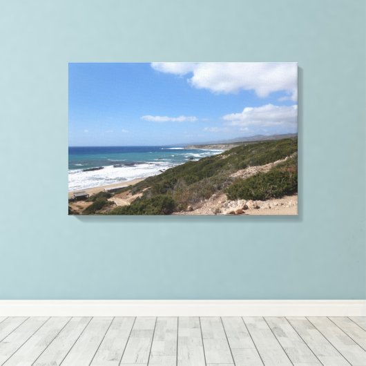 Lara Beach, Paphos, Cyprus Canvas Afdruk (Insitu (Houten vloer))
