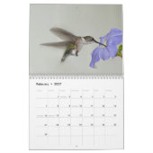 Lara Ellis Fotografie Hummingvogels Kalender (Feb 2027)