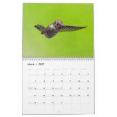 Lara Ellis Fotografie Hummingvogels Kalender (Mar 2027)