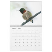 Lara Ellis Fotografie Hummingvogels Kalender (Jan 2026)