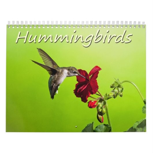 Lara Ellis Fotografie Hummingvogels Kalender (Hoes)