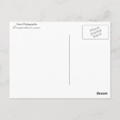 L'araignée saltique "la sauteuse" briefkaart (Achterkant)