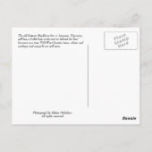 Laramie Wyoming Cowboy Briefkaart (Achterkant)