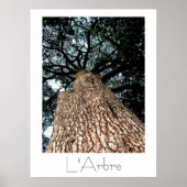 L'Arbre Poster (Voorkant)