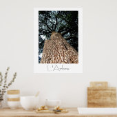L'Arbre Poster (Keuken)