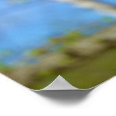 Larch bloesems poster (Hoek)