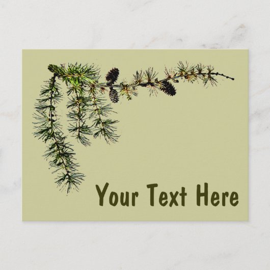 Larch Branch Briefkaart (Voorkant)