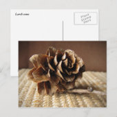 Larch Kone Briefkaart (Voorkant / Achterkant)