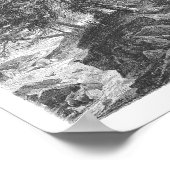 Larch Tree 1800s Antiek illustratie Poster (Hoek)