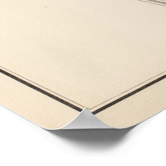 Larchmont Poster (Hoek)