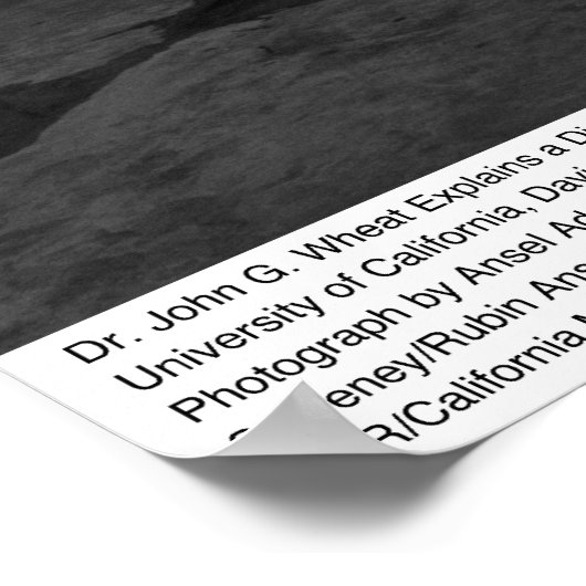 Large Animal Clinic, UC Davis, 1966 Poster (Hoek)