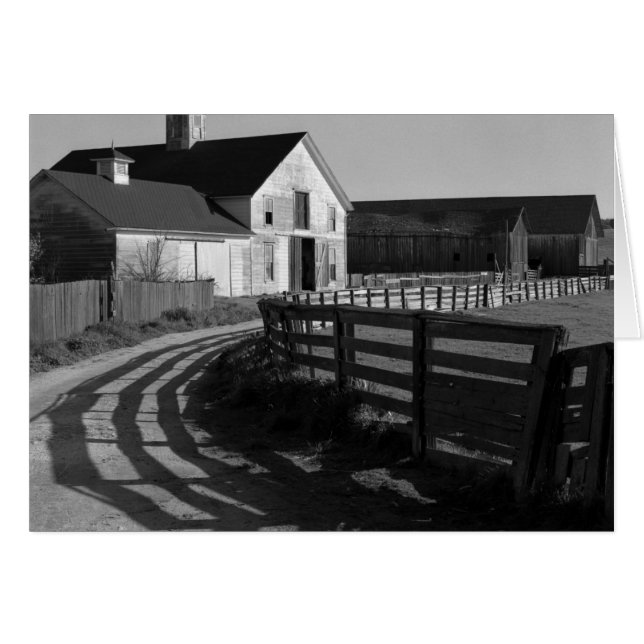 Large Barn and Road, maart 1966 (Voorkant Horizontaal)