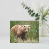 Large Brown Bear Katmai Alaska Briefkaart (Staand voorkant)