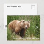 Large Brown Bear Katmai Alaska Briefkaart (Voorkant / Achterkant)