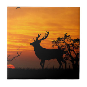 Large Buck Silhouette bij Sunset Tegeltje