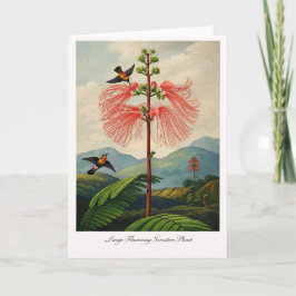 Large Flowering Sensitive Plant — Modern Botanical Kaart