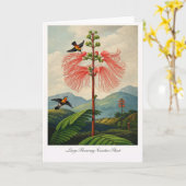 Large Flowering Sensitive Plant — Modern Botanical Kaart (Gele Bloem)