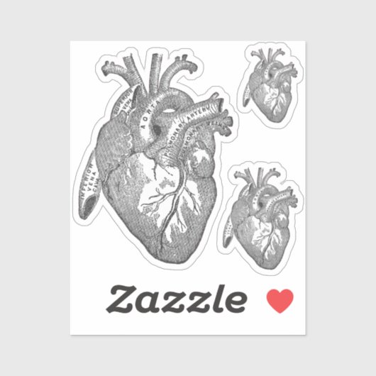 Large Labelled Vintage Anatomical Heart, Black  Sticker (Vel)