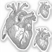 Large Labelled Vintage Anatomical Heart, Black  Sticker (Voorkant)