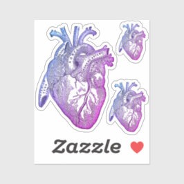 Large Labelled Vintage Anatomical Heart, Colorful Sticker