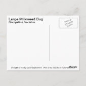 Large Milroed Bug Briefkaart (Achterkant)
