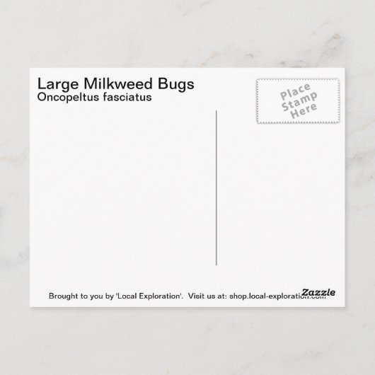 Large Milroed Bug Briefkaart (Achterkant)