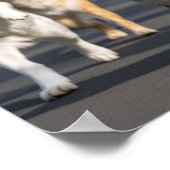 Large No Kings Day Pet Poster (Hoek)