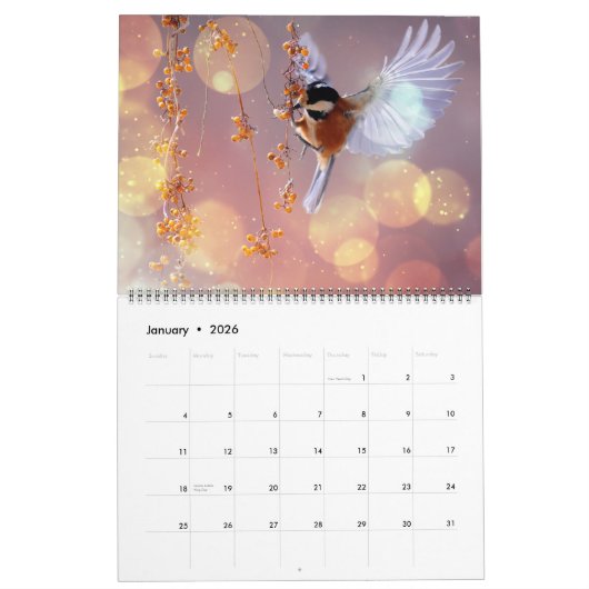 Large Size Beautiful Birds Calendar Kalender (Jan 2026)