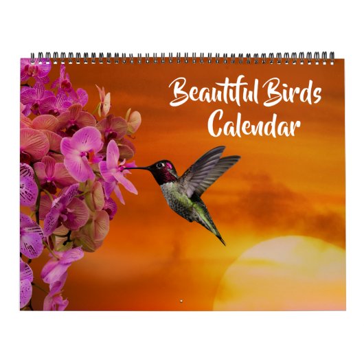 Large Size Beautiful Birds Calendar Kalender (Hoes)