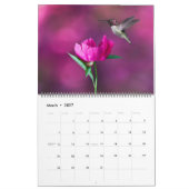Large Size Beautiful Birds Calendar Kalender (Mar 2027)