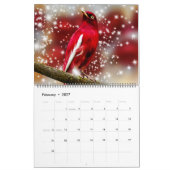 Large Size Beautiful Birds Calendar Kalender (Feb 2027)