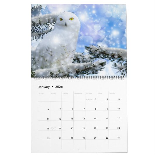 Large Size Beautiful Birds Calendar Kalender (Jan 2026)