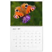 Large Size Beautiful Butterflies Calendar Kalender (Mar 2027)