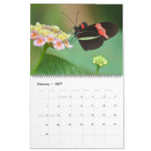 Large Size Beautiful Butterflies Calendar Kalender (Feb 2027)
