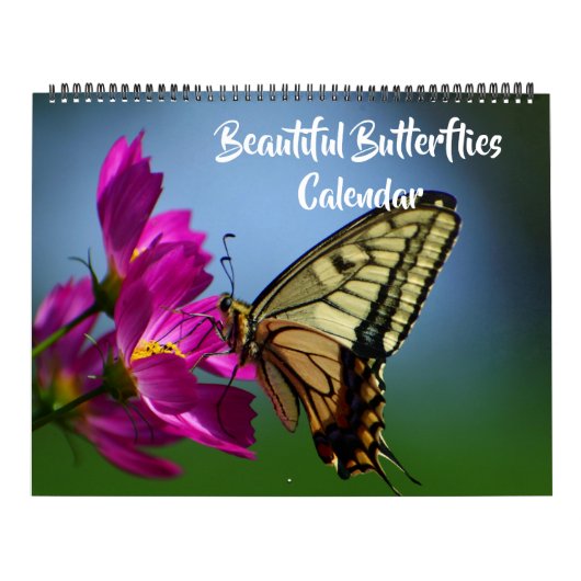 Large Size Beautiful Butterflies Calendar Kalender (Hoes)