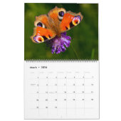 Large Size Beautiful Butterflies Calendar Kalender (Mar 2026)