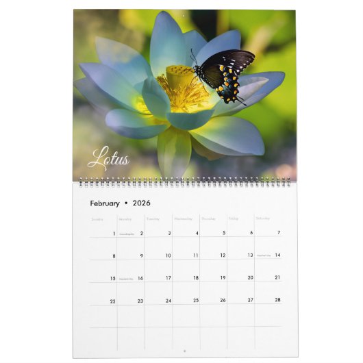 Large Size Beautiful Flowers Calendar Kalender (Feb 2026)