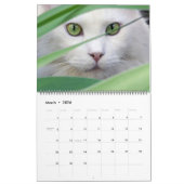 Large Size Cat Lovers Calendar Kalender (Mar 2026)