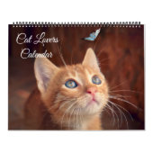 Large Size Cat Lovers Calendar Kalender (Hoes)