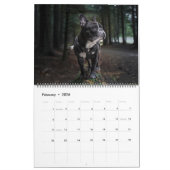 Large Size Dog Lovers Calendar Kalender (Feb 2026)