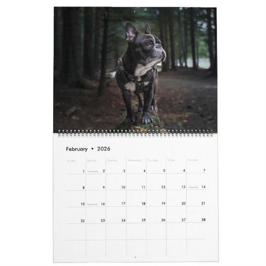 Large Size Dog Lovers Calendar Kalender (Feb 2026)