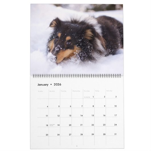 Large Size Dog Lovers Calendar Kalender (Jan 2026)