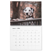 Large Size Dog Lovers Calendar Kalender (Mar 2026)