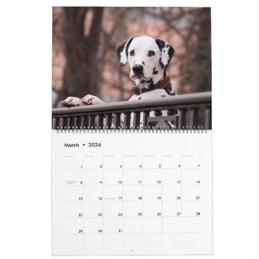 Large Size Dog Lovers Calendar Kalender (Mar 2026)