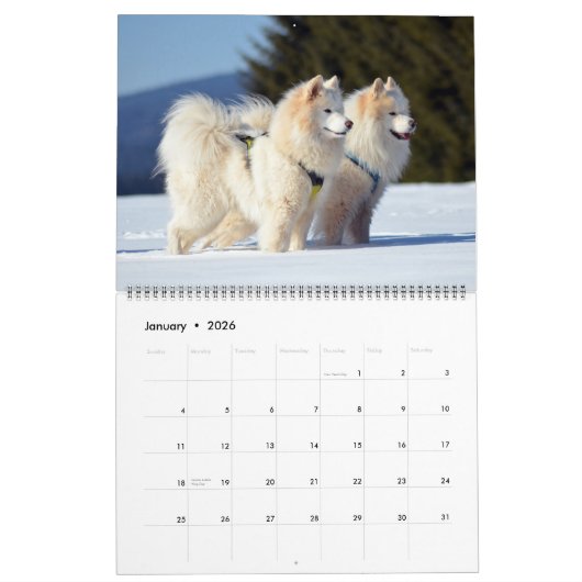 Large Size Dog Lovers Calendar Kalender (Jan 2026)